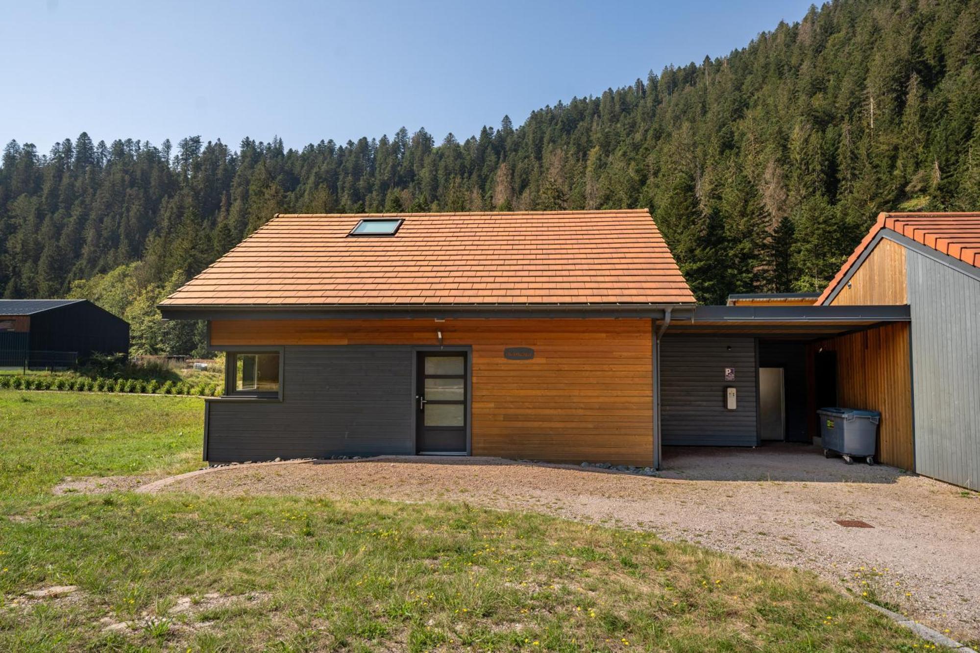 Chalet Nemesia Avec Spa A ג'רארדמר מראה חיצוני תמונה